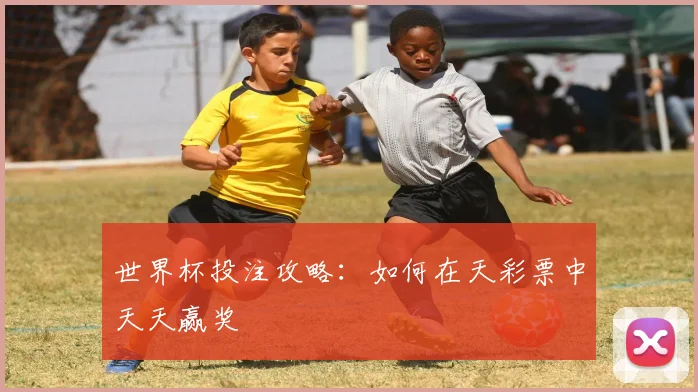 世界杯投注攻略：如何在天彩票中天天赢奖