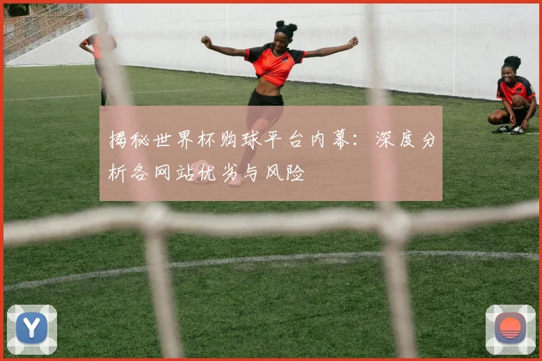 揭秘世界杯购球平台内幕：深度分析各网站优劣与风险