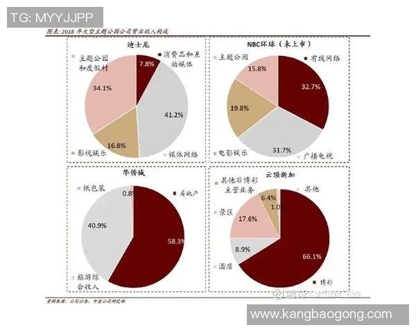 深圳排球队在杯赛中的团队协作表现分析与启示