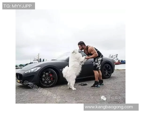 萨摩耶足球明星盘点及其在赛场上的精彩表现与成就分析